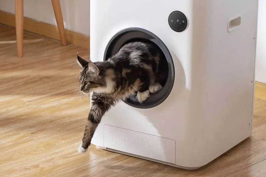 self-cleaning cat litter boxes