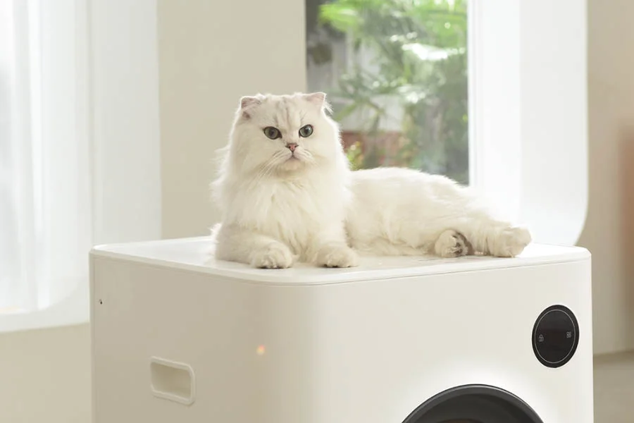 self clean cat litter box